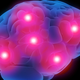 Illustration for article titled Obesity Could Make The Brain Big, Too